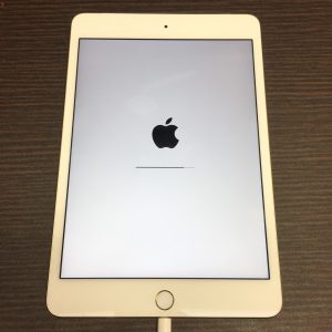 iPadmini4