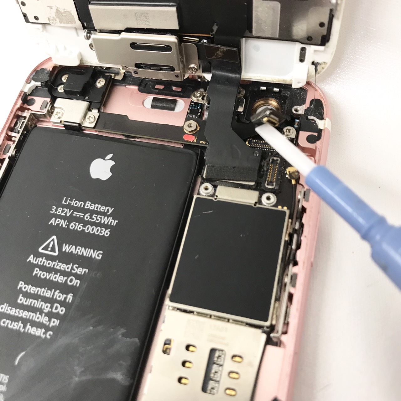 iPhone6S アウトカメラ交換