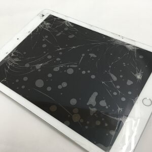 iPad4パネル