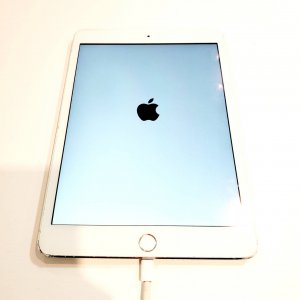iPad mini3 初期化