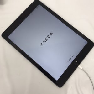iPad ( 第6世代 ) リンゴループ