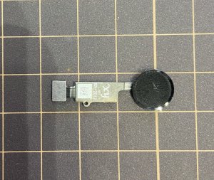 iPhone 8plus ホームボタン交換修理