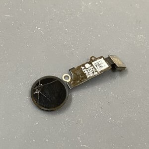 iPhoneSE(第2世代) ホームボタン修理