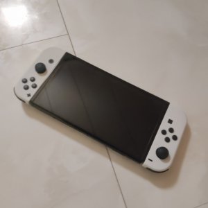 ニンテンドースイッチ 液晶交換