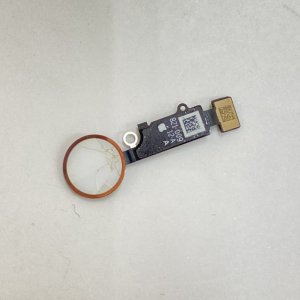 iPhone8 ホームボタン修理