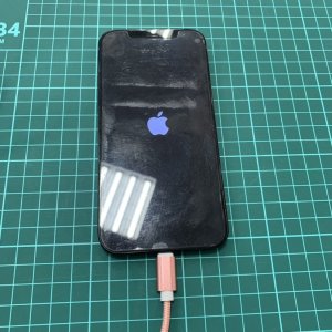 iPhone12pro 更新（リンゴループ）