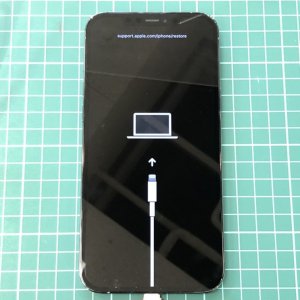iPhone12ProMax アップデート(更新) 【リンゴループ】