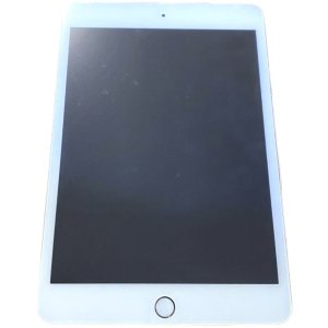 iPad mini5