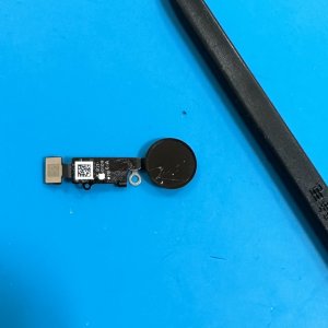 iPhone8plus アウトカメラ交換