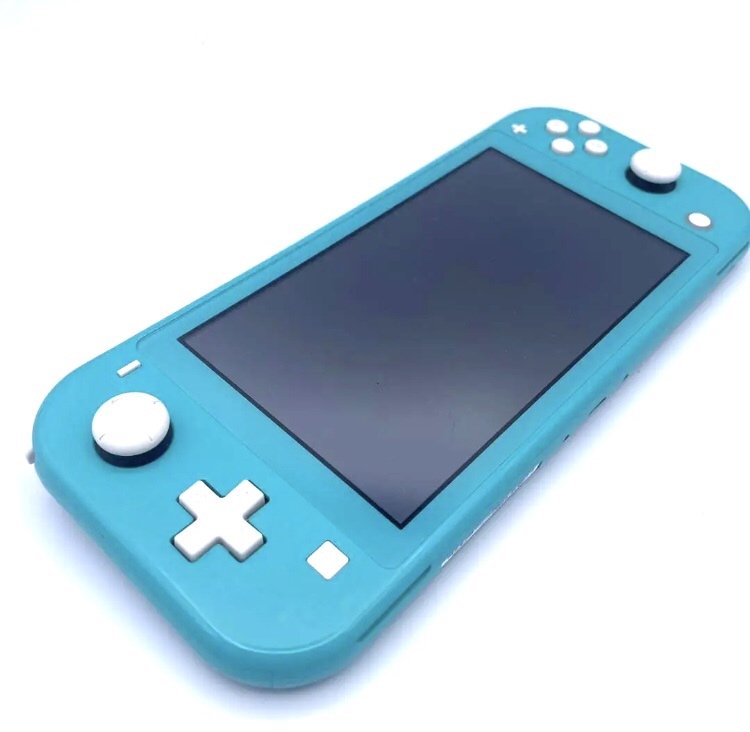 Nintendo Switch Lite/ニンテンドースイッチライト フロントパネルに 