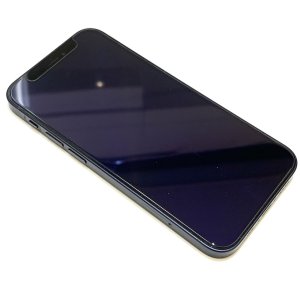 iPhone12mini パネル交換