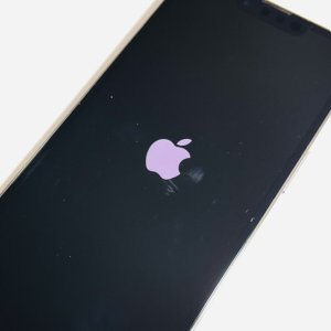 iPhone13Proリンゴループになってしまって動かせない…