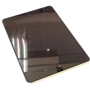 iPadmini5 バッテリー交換