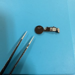 iPhone7 ホームボタン交換