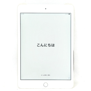 iPad mini4 (アイパッドミニ4) 初期化