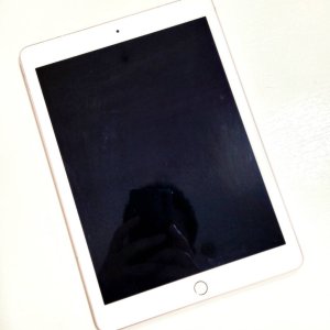 iPadPro2 バッテリー交換