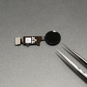 iPhone8Plus ホームボタン修理