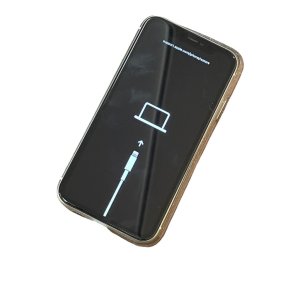 iPhone11 リンゴループ
