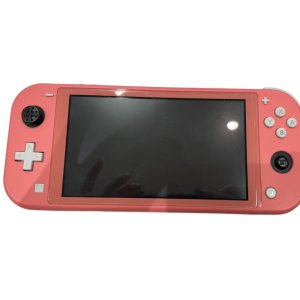 任天堂スイッチライト Nintendo Switch Lite 左右スティック交換