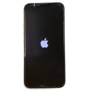 iPhone13 リンゴループ