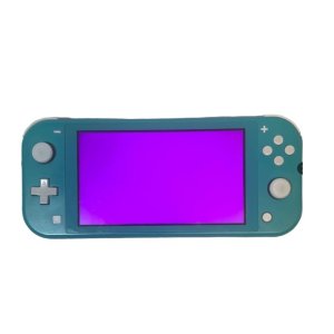 Nintendo Switch Lite 液晶交換