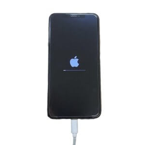 iPhone12 リンゴループ