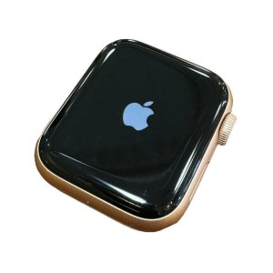 AppleWatch Series6 40mm リンゴループ