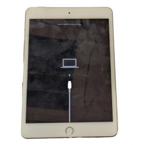 iPadmini4 更新・初期化