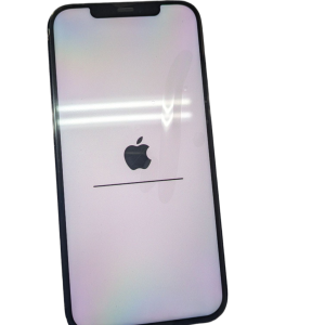 iPhone12ProMax データ更新