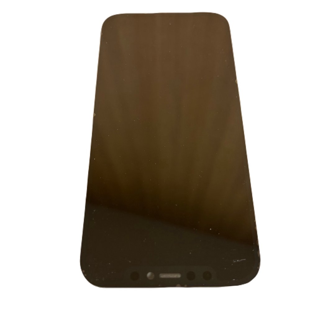 iPhone12pro パネル交換