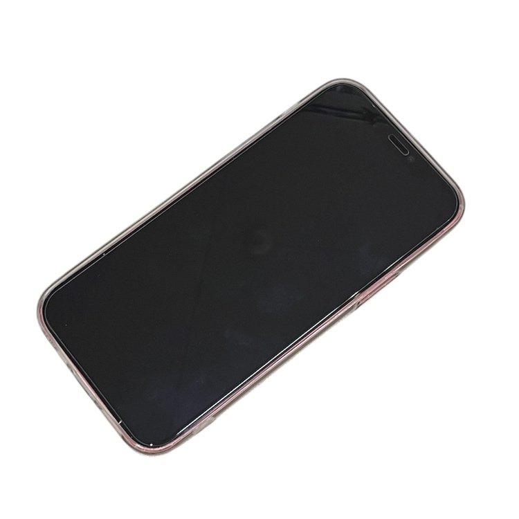 【水没 水没修理】iPhone12(A2402)