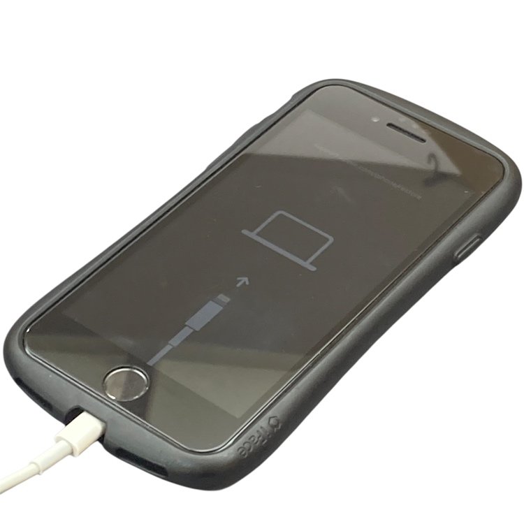 iPhoneSE2 起動不可