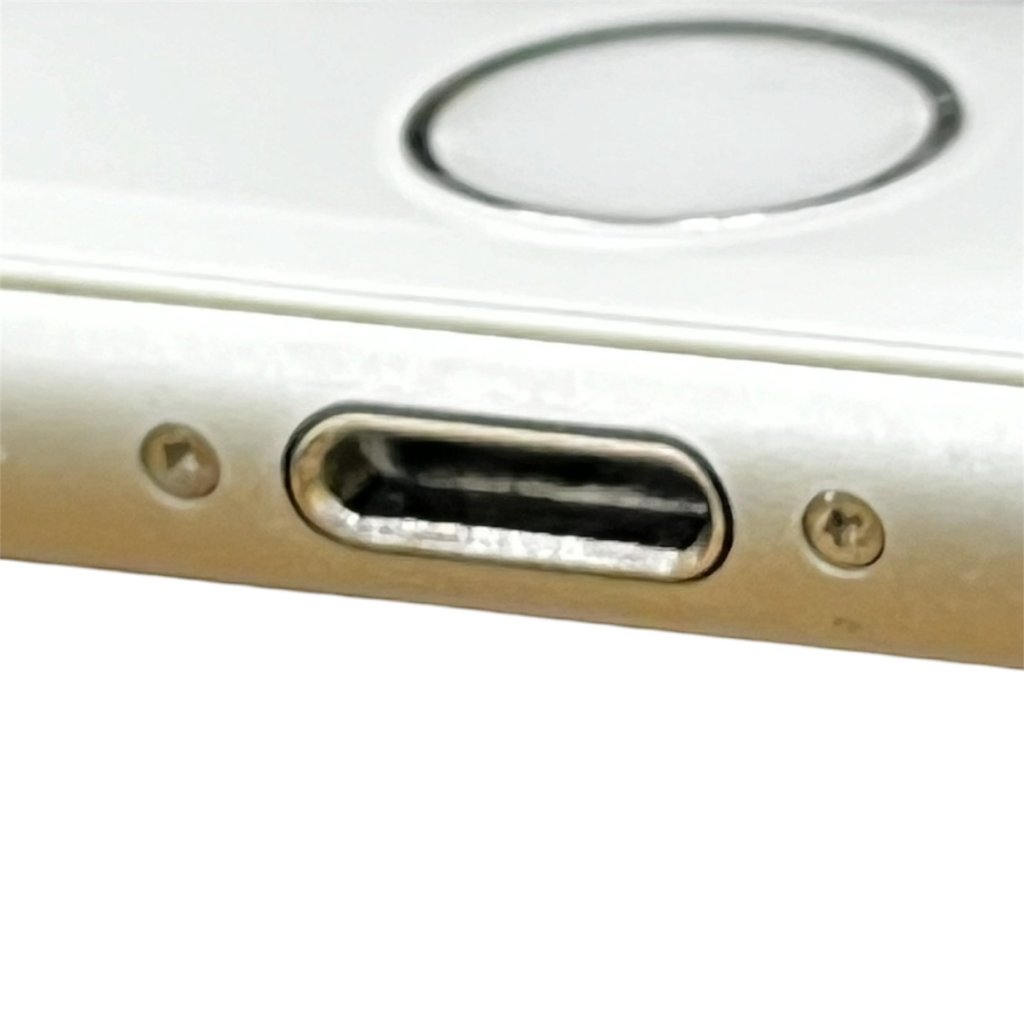 iPhone 8 Plus ライトニング清掃