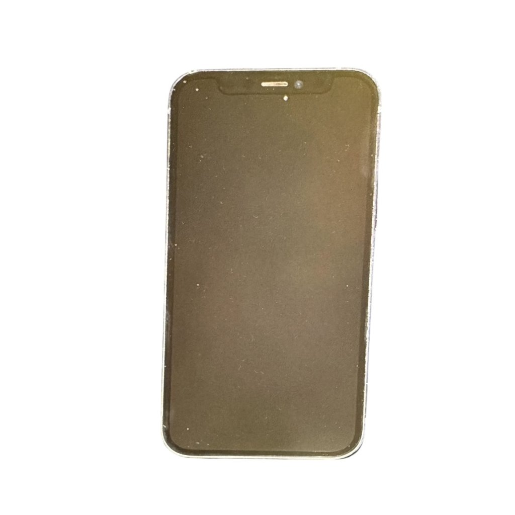 iPhone12mini パネル交換