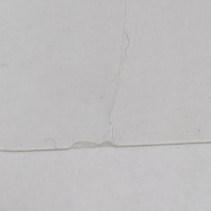 強化ガラス交換