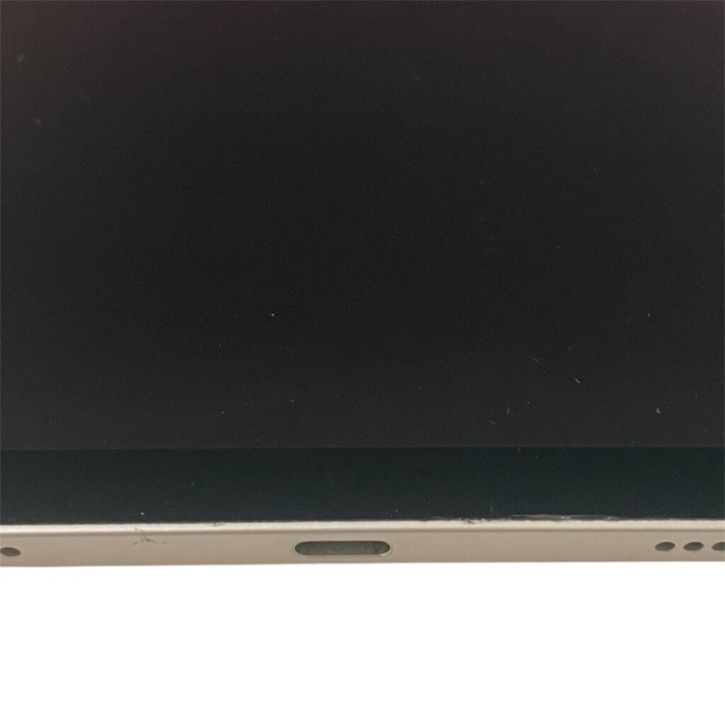 【データそのまま！！】iPad Pro 11-inch ドックコネクター修理