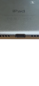 iPad ライトニング清掃