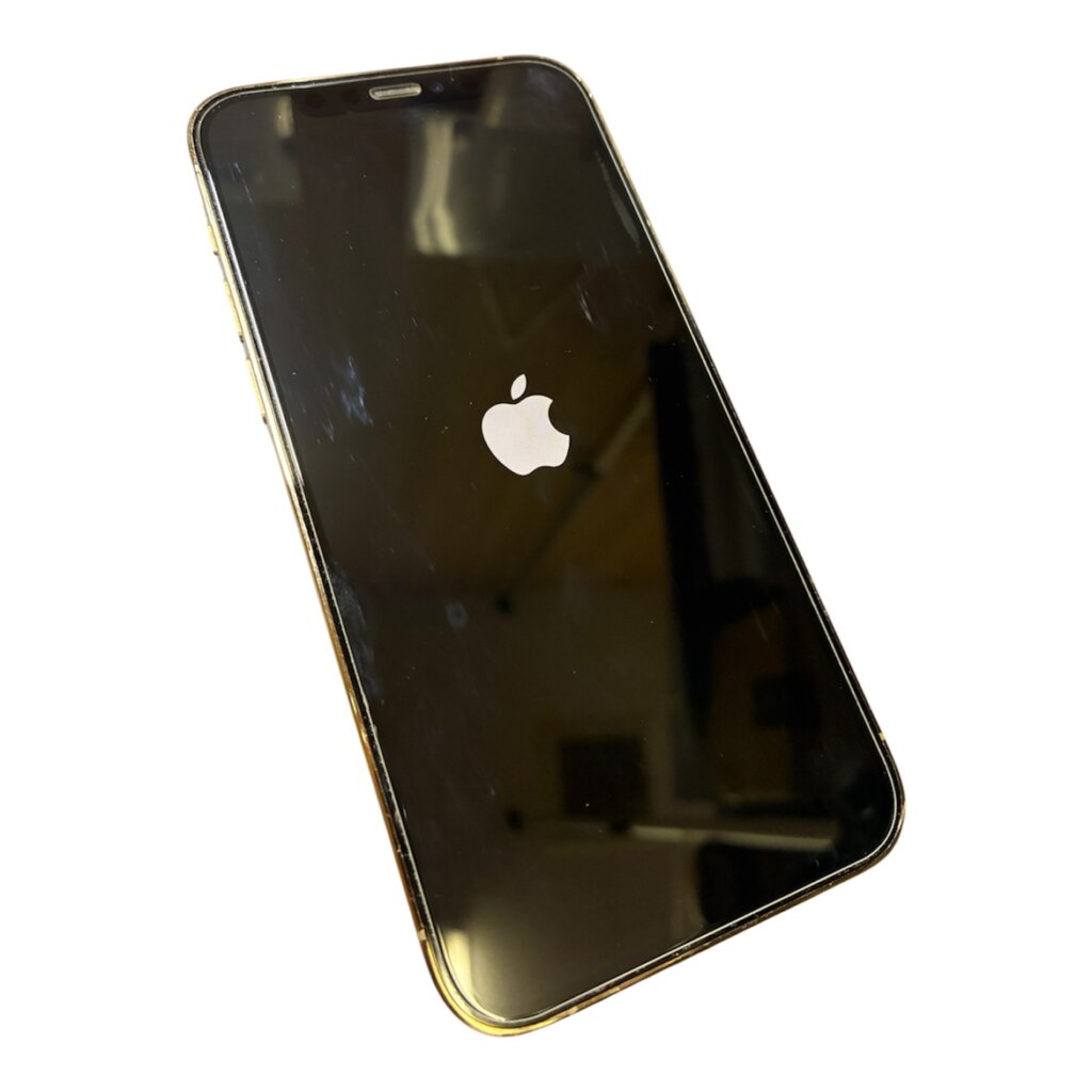 【データそのまま】 iPhone12Pro リンゴループ 基板修理